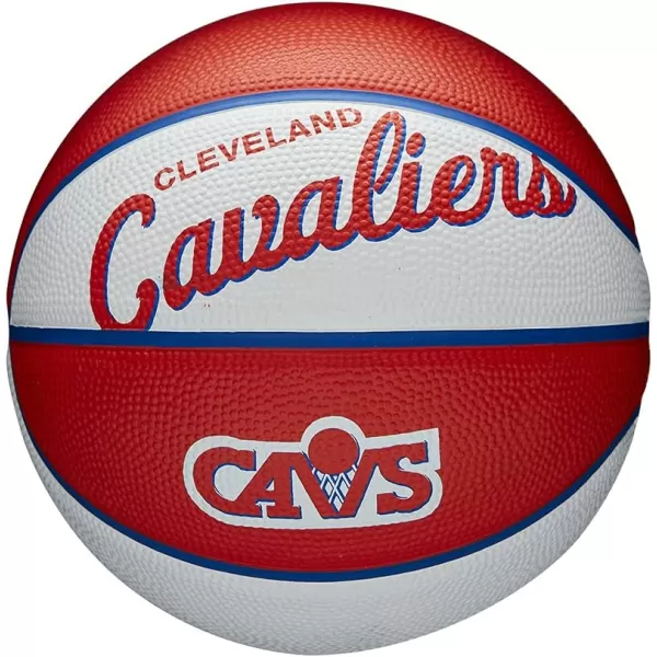 WILSON NBA Alliance Series Basketballs - Team Logo Basketballs - 29.5" and Mini Sizes