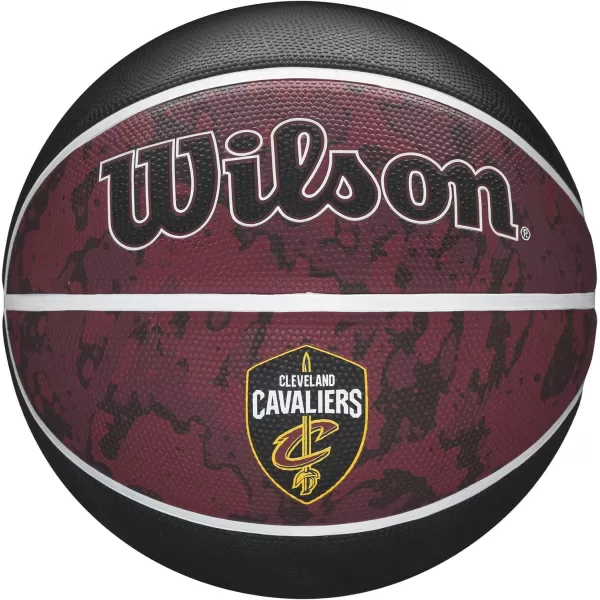 WILSON NBA Alliance Series Basketballs - Team Logo Basketballs - 29.5" and Mini Sizes