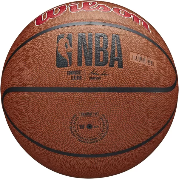 WILSON NBA Alliance Series Basketballs - Team Logo Basketballs - 29.5" and Mini Sizes