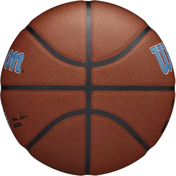 WILSON NBA Alliance Series Basketballs - Team Logo Basketballs - 29.5" and Mini Sizes