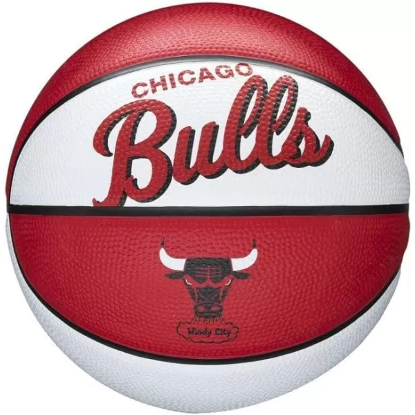 WILSON NBA Alliance Series Basketballs - Team Logo Basketballs - 29.5" and Mini Sizes