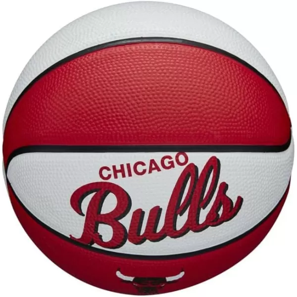 WILSON NBA Alliance Series Basketballs - Team Logo Basketballs - 29.5" and Mini Sizes