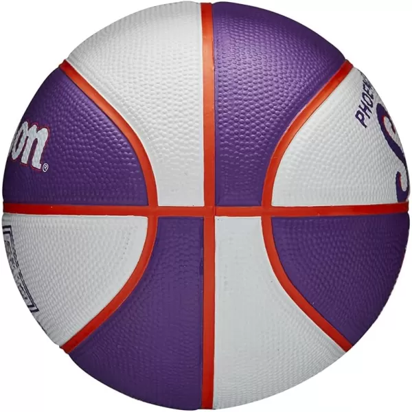 WILSON NBA Alliance Series Basketballs - Team Logo Basketballs - 29.5" and Mini Sizes