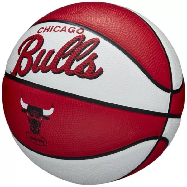 WILSON NBA Alliance Series Basketballs - Team Logo Basketballs - 29.5" and Mini Sizes