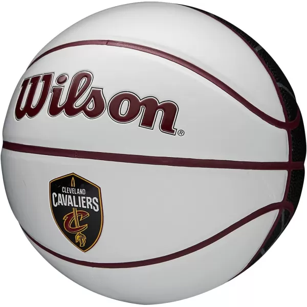 WILSON NBA Alliance Series Basketballs - Team Logo Basketballs - 29.5" and Mini Sizes