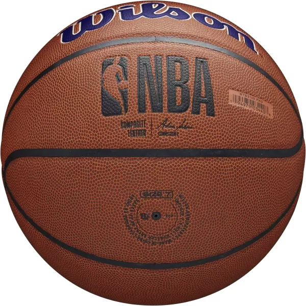 WILSON NBA Alliance Series Basketballs - Team Logo Basketballs - 29.5" and Mini Sizes