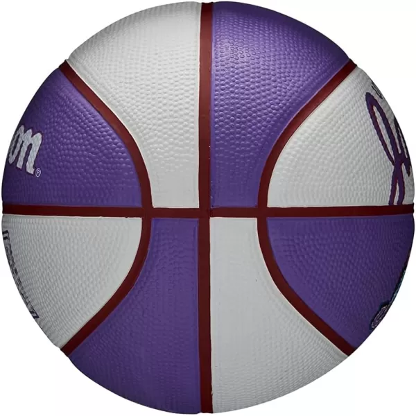 WILSON NBA Alliance Series Basketballs - Team Logo Basketballs - 29.5" and Mini Sizes