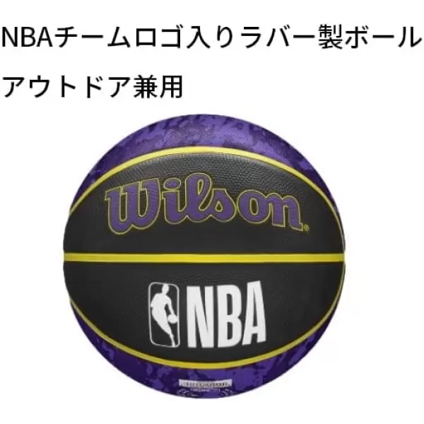 WILSON NBA Alliance Series Basketballs - Team Logo Basketballs - 29.5" and Mini Sizes