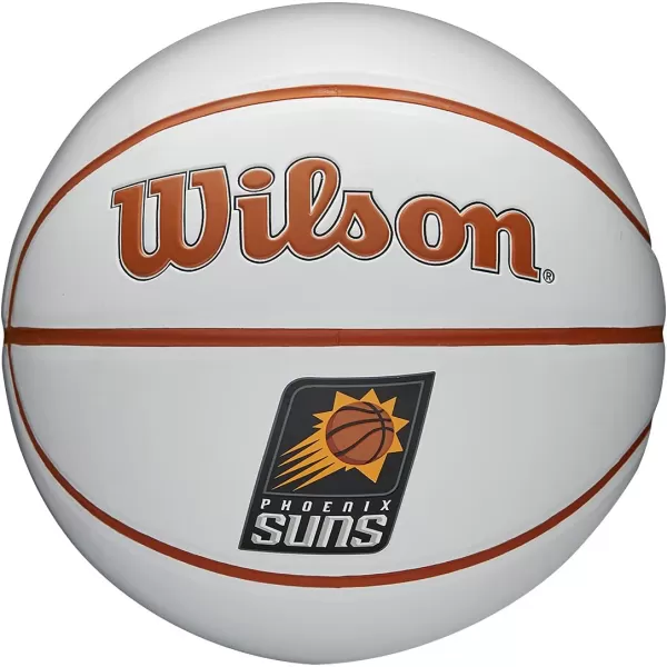WILSON NBA Alliance Series Basketballs - Team Logo Basketballs - 29.5" and Mini Sizes