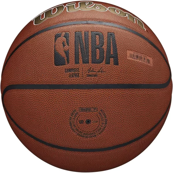 WILSON NBA Alliance Series Basketballs - Team Logo Basketballs - 29.5" and Mini Sizes