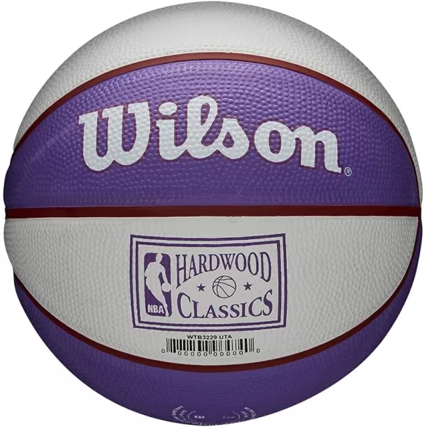 WILSON NBA Alliance Series Basketballs - Team Logo Basketballs - 29.5" and Mini Sizes