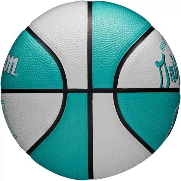 WILSON NBA Alliance Series Basketballs - Team Logo Basketballs - 29.5" and Mini Sizes