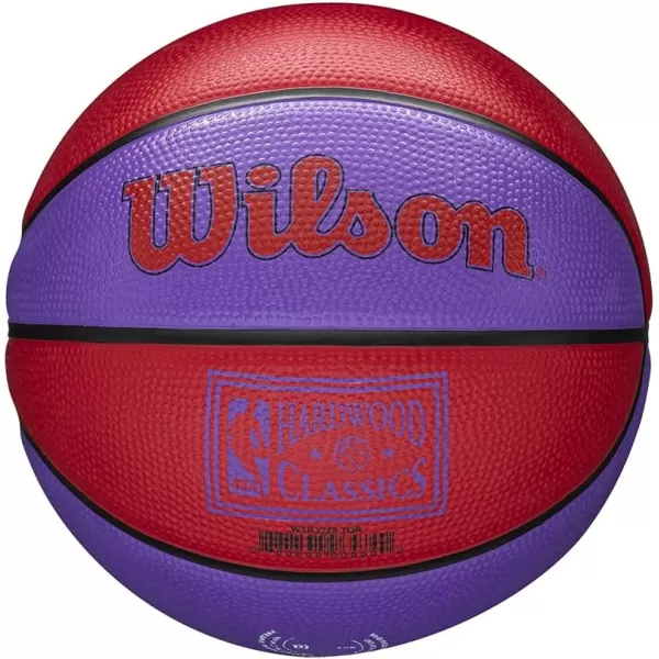 WILSON NBA Alliance Series Basketballs - Team Logo Basketballs - 29.5" and Mini Sizes