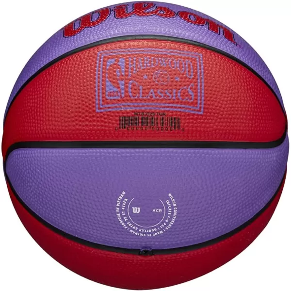 WILSON NBA Alliance Series Basketballs - Team Logo Basketballs - 29.5" and Mini Sizes