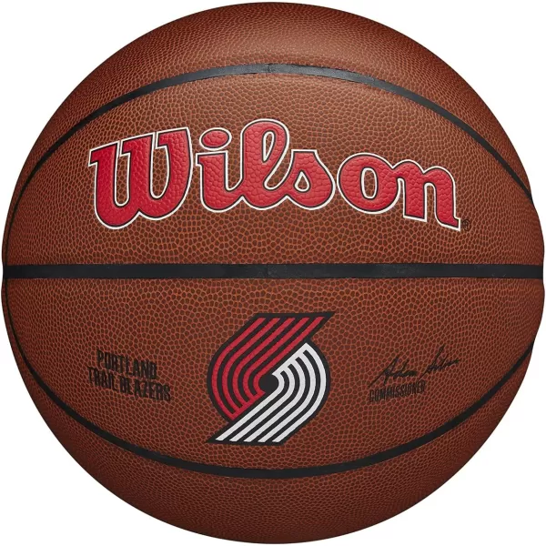 WILSON NBA Alliance Series Basketballs - Team Logo Basketballs - 29.5" and Mini Sizes