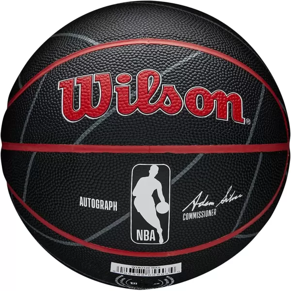 WILSON NBA Alliance Series Basketballs - Team Logo Basketballs - 29.5" and Mini Sizes