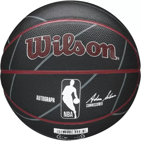 WILSON NBA Alliance Series Basketballs - Team Logo Basketballs - 29.5" and Mini Sizes
