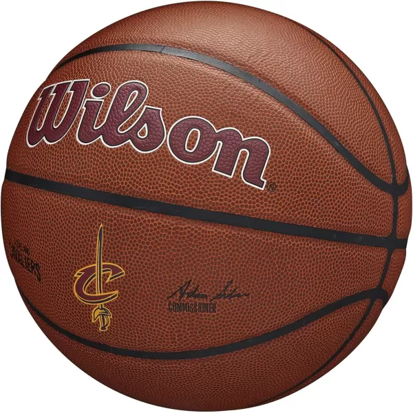 WILSON NBA Alliance Series Basketballs - Team Logo Basketballs - 29.5" and Mini Sizes