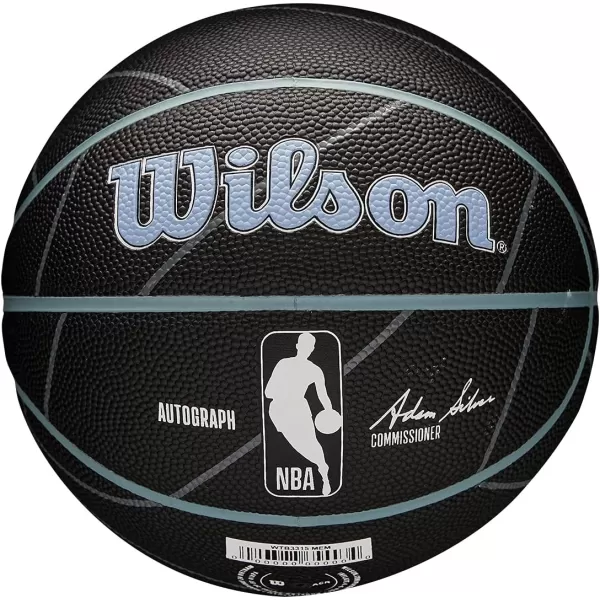 WILSON NBA Alliance Series Basketballs - Team Logo Basketballs - 29.5" and Mini Sizes