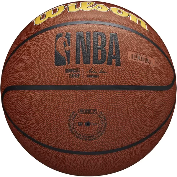 WILSON NBA Alliance Series Basketballs - Team Logo Basketballs - 29.5" and Mini Sizes