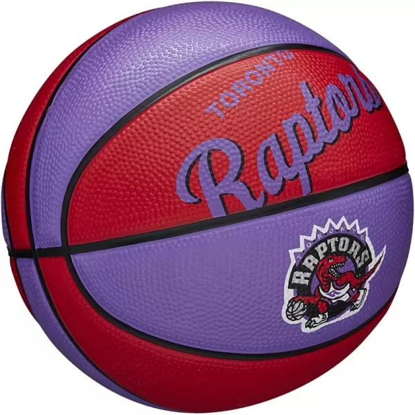 WILSON NBA Alliance Series Basketballs - Team Logo Basketballs - 29.5" and Mini Sizes