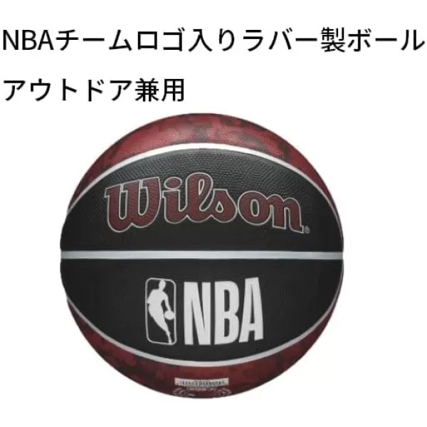 WILSON NBA Alliance Series Basketballs - Team Logo Basketballs - 29.5" and Mini Sizes