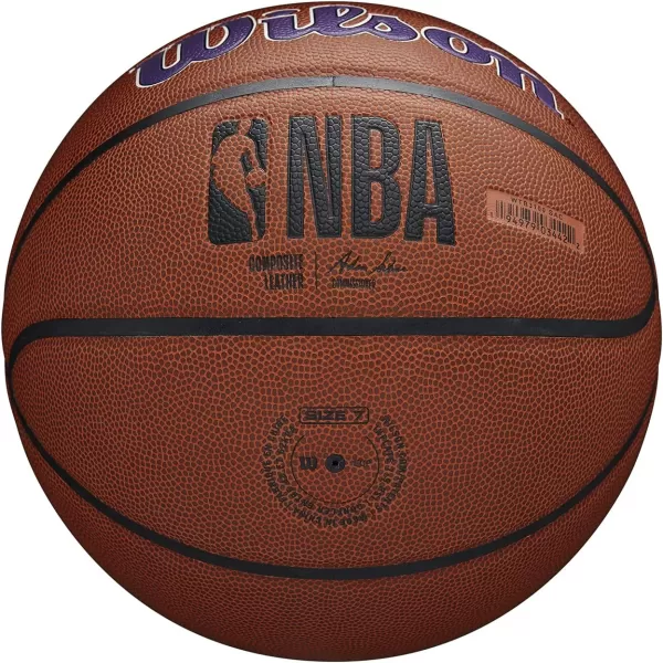 WILSON NBA Alliance Series Basketballs - Team Logo Basketballs - 29.5" and Mini Sizes