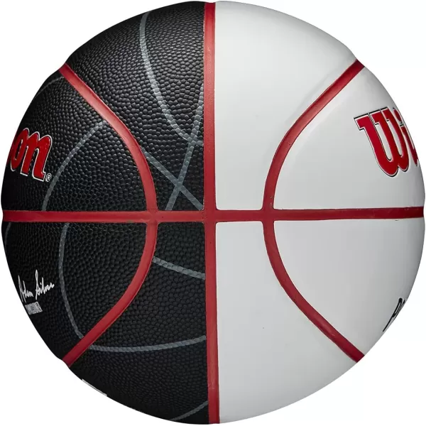 WILSON NBA Alliance Series Basketballs - Team Logo Basketballs - 29.5" and Mini Sizes