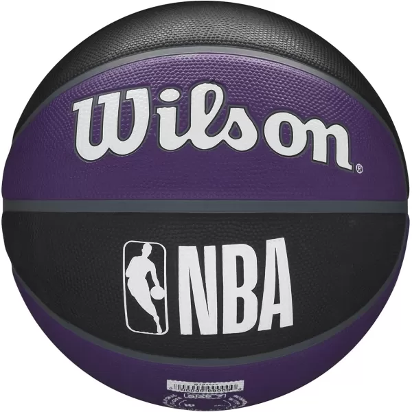 WILSON NBA Alliance Series Basketballs - Team Logo Basketballs - 29.5" and Mini Sizes