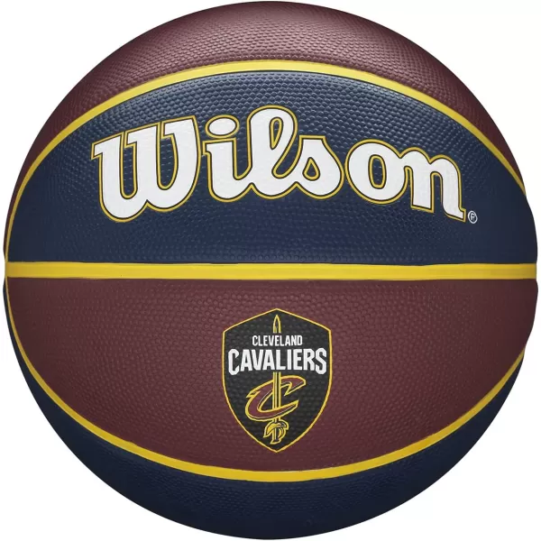 WILSON NBA Alliance Series Basketballs - Team Logo Basketballs - 29.5" and Mini Sizes