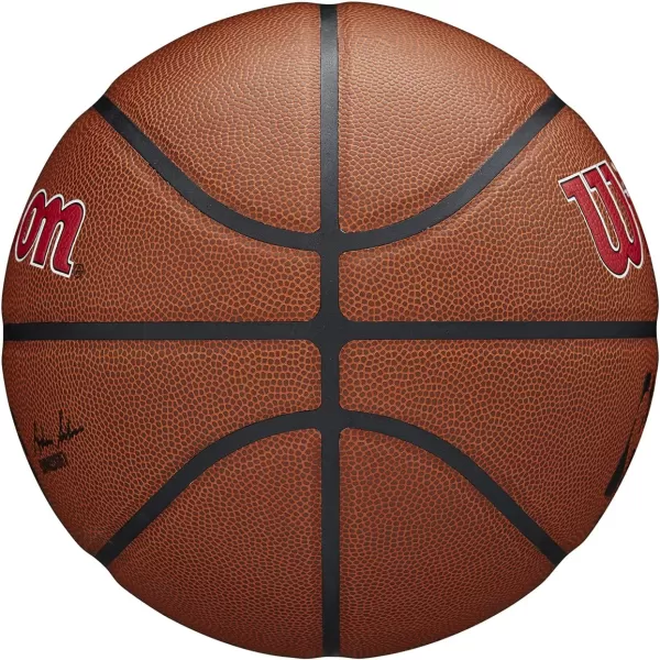 WILSON NBA Alliance Series Basketballs - Team Logo Basketballs - 29.5" and Mini Sizes