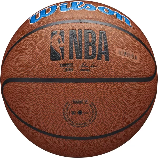 WILSON NBA Alliance Series Basketballs - Team Logo Basketballs - 29.5" and Mini Sizes