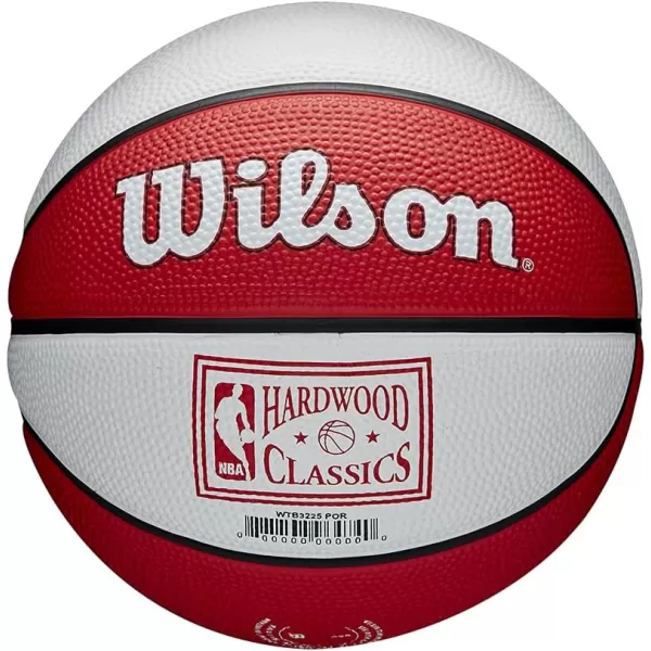 WILSON NBA Alliance Series Basketballs - Team Logo Basketballs - 29.5" and Mini Sizes