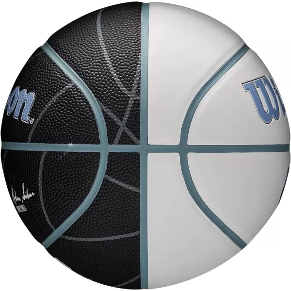 WILSON NBA Alliance Series Basketballs - Team Logo Basketballs - 29.5" and Mini Sizes