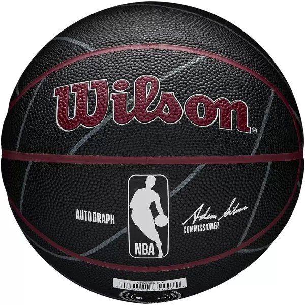 WILSON NBA Alliance Series Basketballs - Team Logo Basketballs - 29.5" and Mini Sizes
