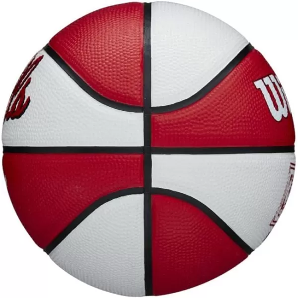 WILSON NBA Alliance Series Basketballs - Team Logo Basketballs - 29.5" and Mini Sizes