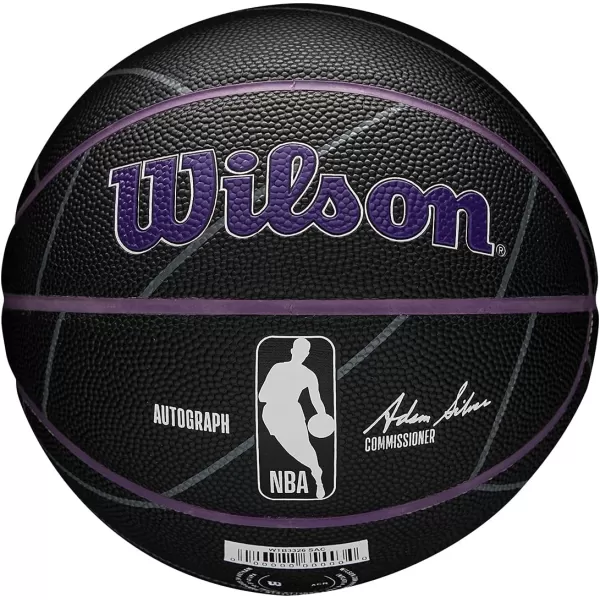 WILSON NBA Alliance Series Basketballs - Team Logo Basketballs - 29.5" and Mini Sizes