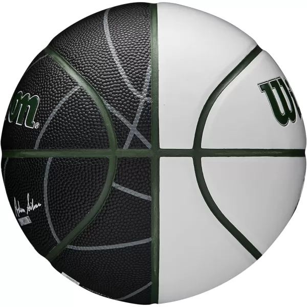 WILSON NBA Alliance Series Basketballs - Team Logo Basketballs - 29.5" and Mini Sizes