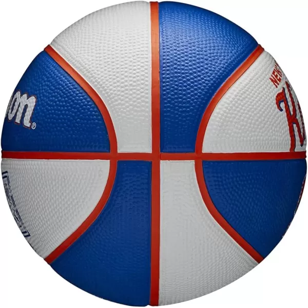 WILSON NBA Alliance Series Basketballs - Team Logo Basketballs - 29.5" and Mini Sizes