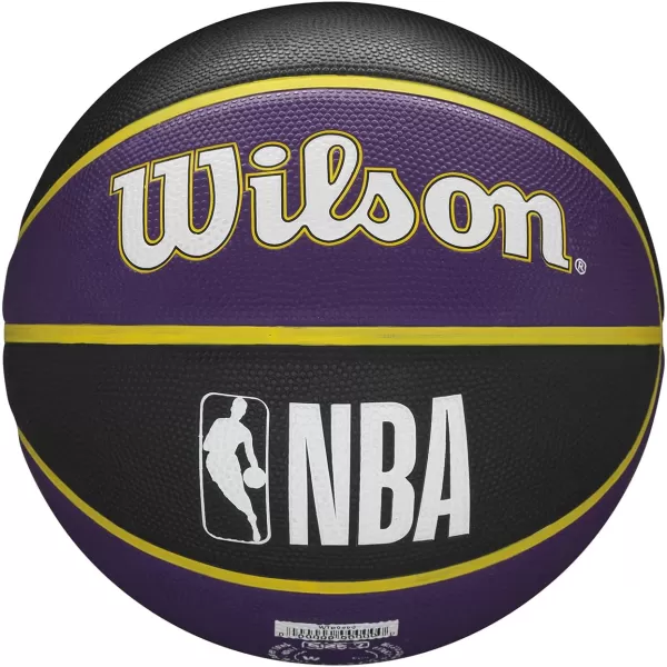 WILSON NBA Alliance Series Basketballs - Team Logo Basketballs - 29.5" and Mini Sizes