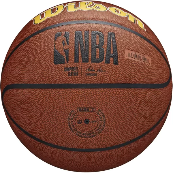 WILSON NBA Alliance Series Basketballs - Team Logo Basketballs - 29.5" and Mini Sizes