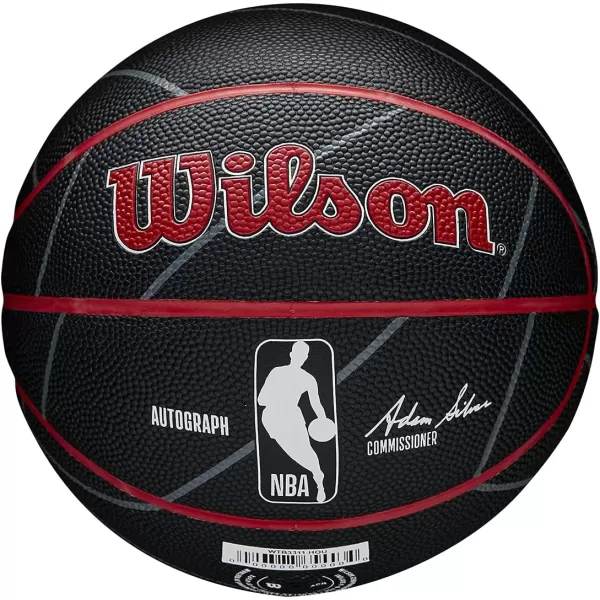 WILSON NBA Alliance Series Basketballs - Team Logo Basketballs - 29.5" and Mini Sizes