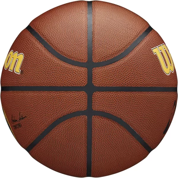 WILSON NBA Alliance Series Basketballs - Team Logo Basketballs - 29.5" and Mini Sizes