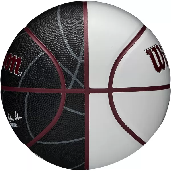 WILSON NBA Alliance Series Basketballs - Team Logo Basketballs - 29.5" and Mini Sizes