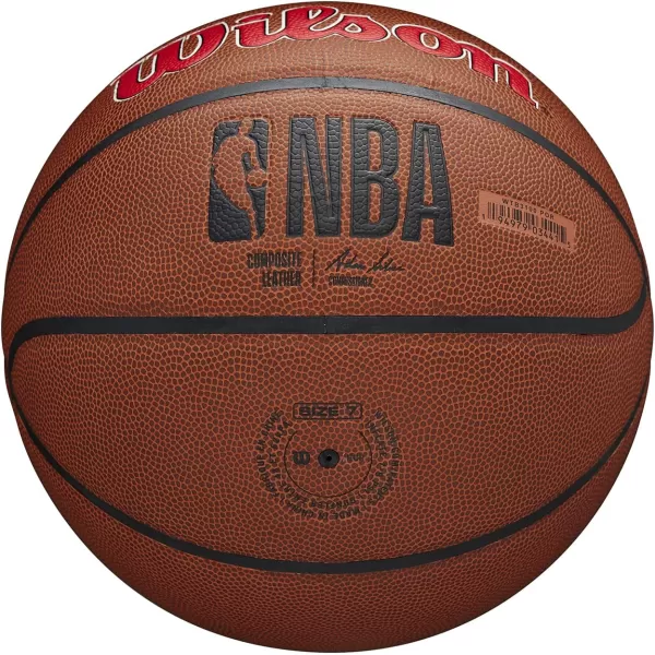 WILSON NBA Alliance Series Basketballs - Team Logo Basketballs - 29.5" and Mini Sizes