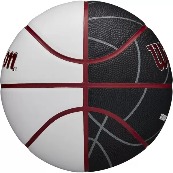 WILSON NBA Alliance Series Basketballs - Team Logo Basketballs - 29.5" and Mini Sizes