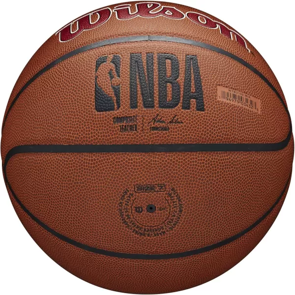WILSON NBA Alliance Series Basketballs - Team Logo Basketballs - 29.5" and Mini Sizes
