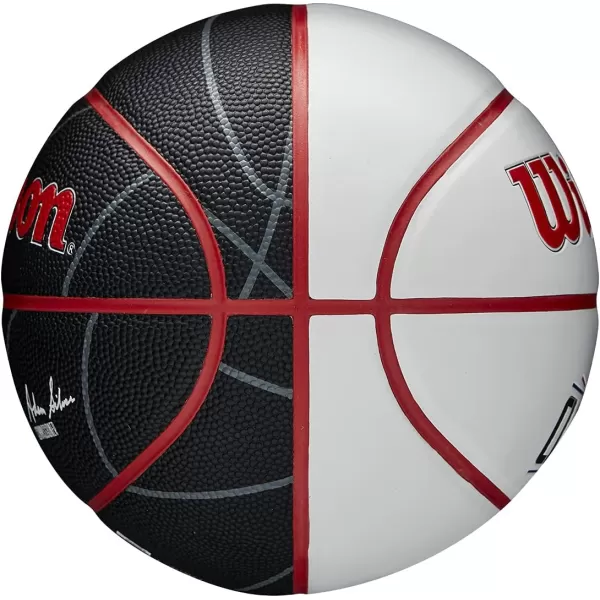 WILSON NBA Alliance Series Basketballs - Team Logo Basketballs - 29.5" and Mini Sizes