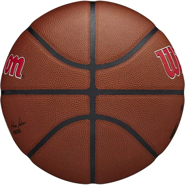 WILSON NBA Alliance Series Basketballs - Team Logo Basketballs - 29.5" and Mini Sizes