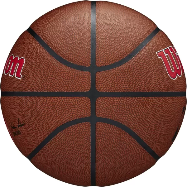 WILSON NBA Alliance Series Basketballs - Team Logo Basketballs - 29.5" and Mini Sizes